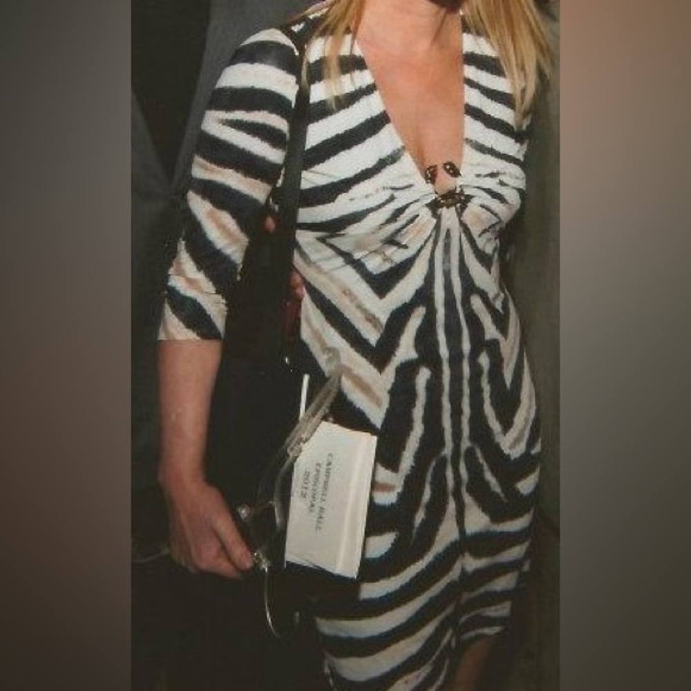 Roberto Cavalli Dress